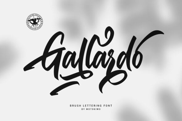 Gallardo, Lettering Script Font