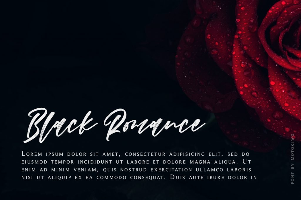 Nighiri, A Brush Script Font font preview 4
