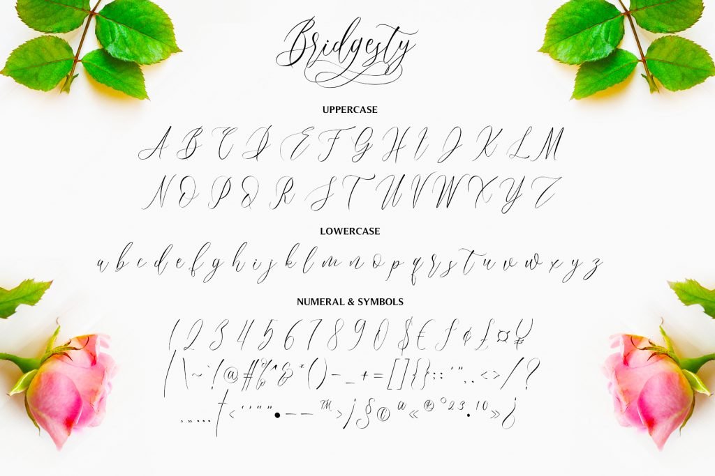 Bridgesty, Beautiful Modern Calligraphy font preview 10