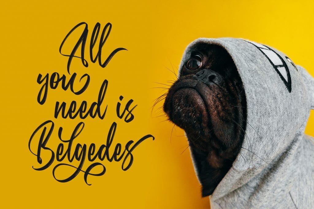 Belgedes, Hand Lettered Font font preview 14