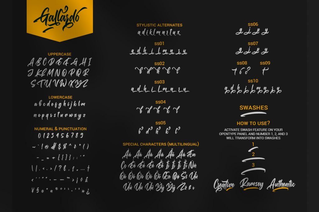 Gallardo, Lettering Script Font font preview 13