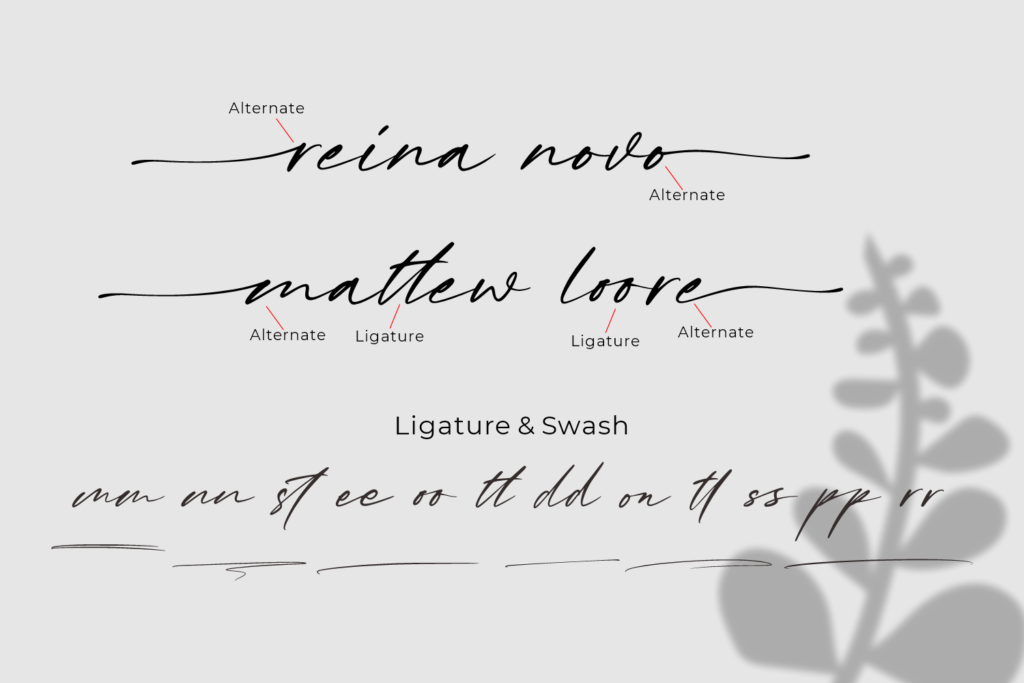 Kiss Me, a Chic Handwritten Font