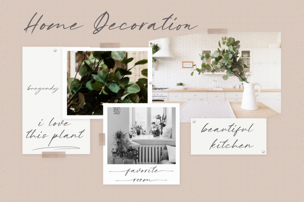 Kiss Me, a Chic Handwritten Font