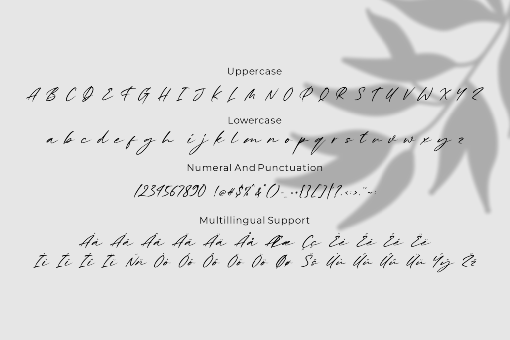 Kiss Me, a Chic Handwritten Font